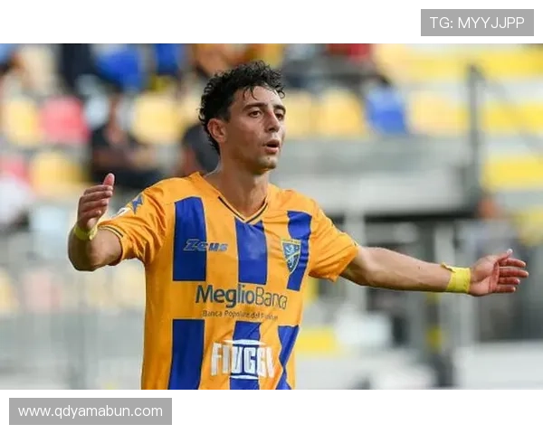 弗罗西诺内俱乐部历史回顾与现状分析：从升班马到意甲稳定队伍的蜕变