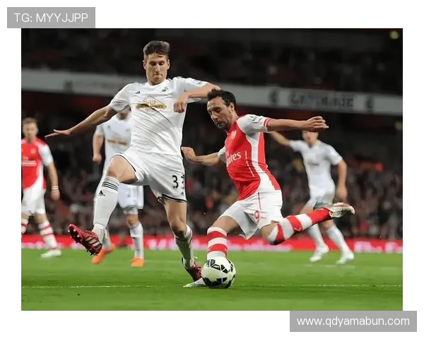 斯旺西俱乐部宣布新赛季阵容调整 引入多名新援并加强攻防深度