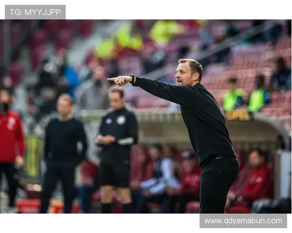 德甲弗赖堡俱乐部百年坚守与青训奇迹的成长之路德甲赛场持续竞争